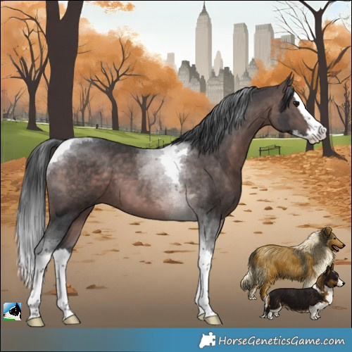 Horse Color:Platinum Brown Splash Tobiano 