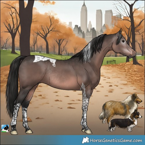 Horse Color:Gray Platinum Bay Tobiano Rabicano 