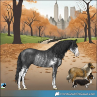 Horse Color:Black Sabino Rabicano 