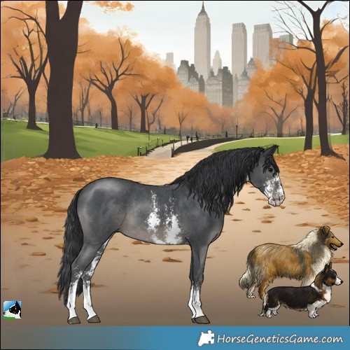 Horse Color:Black Sabino Rabicano