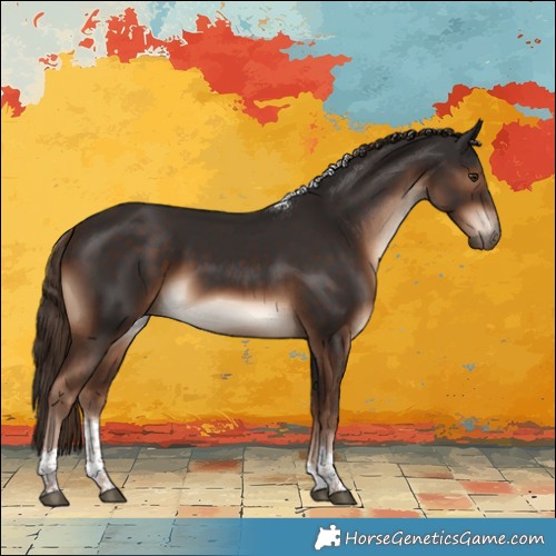 Horse Color:White Spotted Liver Chestnut Tobiano Rabicano 