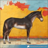 Horse Color:White Spotted Liver Chestnut Tobiano Rabicano 