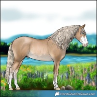 Horse Color:Chocolate Palomino Pearl Sabino Rabicano