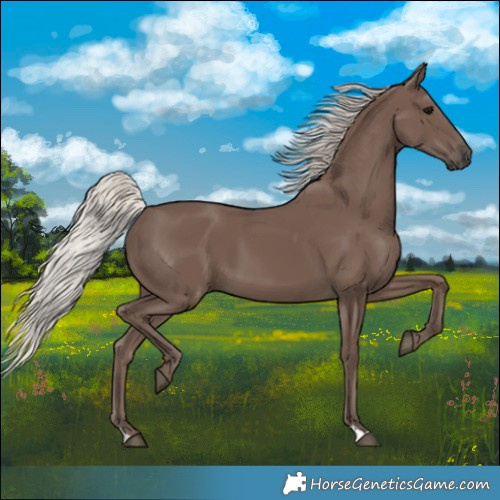 Horse Color:Silver Black 