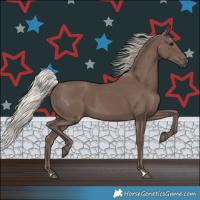 Horse Color:Silver Black 