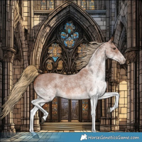 Horse Color:White Spotted Red Roan 