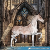 Horse Color:White Spotted Red Roan 