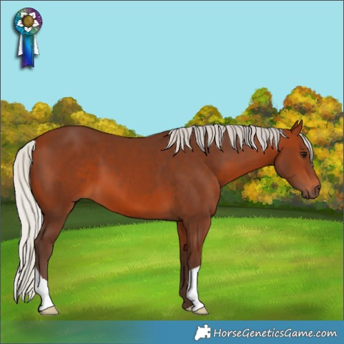 Horse Color:Silver Brown 