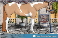 Horse Color:Red Dun Tobiano