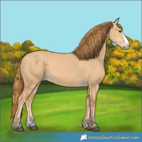 Horse Color:Red Dun Splash