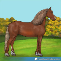 Horse Color:Chestnut Rabicano 