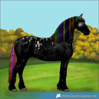 Horse Color:Void Painted Buckskin Snowdrop Splash Tobiano Appaloosa