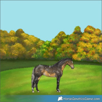 Horse Color:White Spotted Silver Buckskin Tobiano 