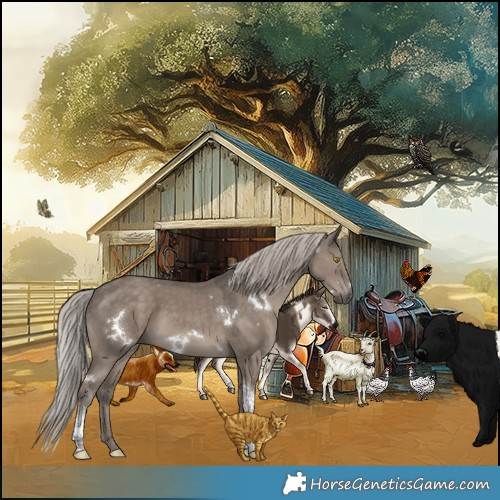 Horse Color:White Spotted Silver Grullo Tobiano 