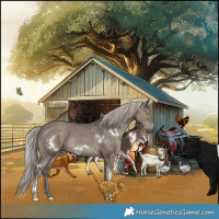 Horse Color:White Spotted Silver Grullo Tobiano 