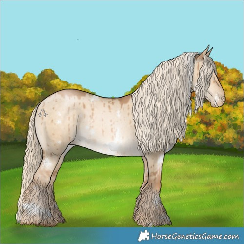 Horse Color:White Spotted Chocolate Palomino Pearl Dun Rabicano Brindle 