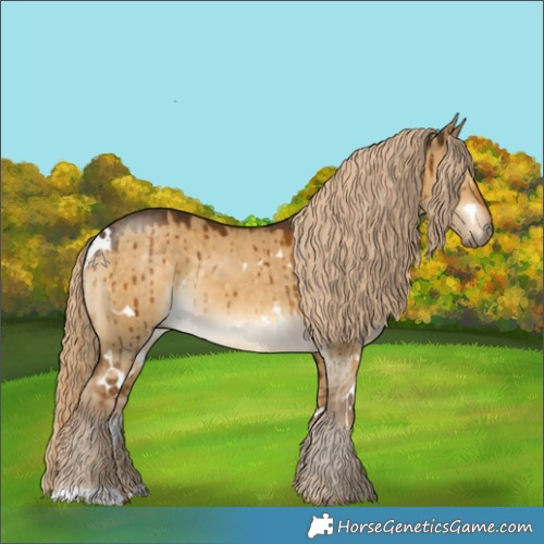 Horse Color:White Spotted Chocolate Palomino Dun Brindle 