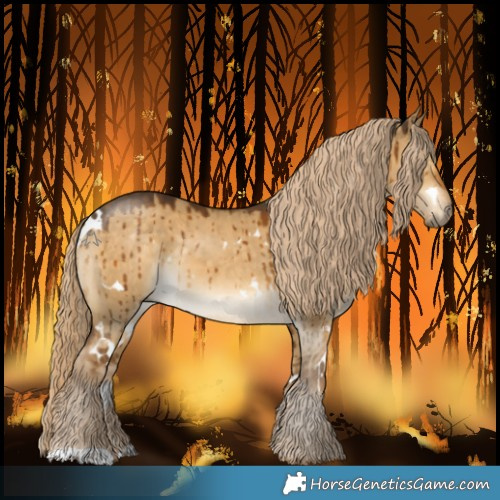 Horse Color:White Spotted Chocolate Palomino Dun Brindle 
