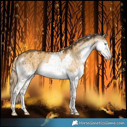 Horse Color:White Spotted Chocolate Palomino Dun Splash Rabicano Brindle 