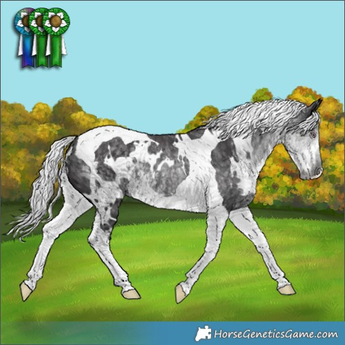 Horse Color:White Spotted Silver Smoky Black Chinchilla Tobiano Rabicano 