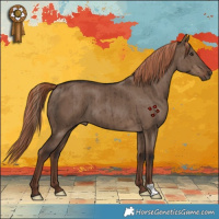 Horse Color:Liver Red Dun Brindle 