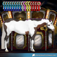 Horse Color:White Spotted Silver Brown Frame Rabicano 