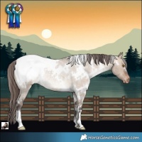 Horse Color:White Spotted Brown Roan Dun Appaloosa Rabicano 