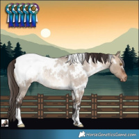 Horse Color:White Spotted Brown Roan Dun Snowcap Rabicano