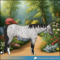 Horse Color:Gray Smoky Grullo Roan Appaloosa
