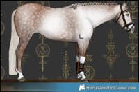 Horse Color:Gray Silver Black Pearl Tobiano