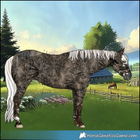 Horse Color:Silver Classic Champagne Ice Dun Splash 