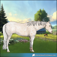 Horse Color:White Spotted Silver Classic Champagne Ice Dun Splash 
