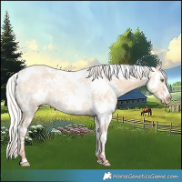 Horse Color:White Spotted Silver Classic Champagne Ice Dun Splash Frame 