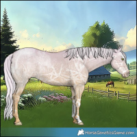 Horse Color:White Spotted Silver Classic Champagne Ice Dun Splash 