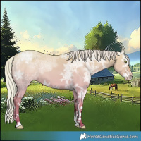 Horse Color:White Spotted Silver Classic Champagne Ice Dun Splash 