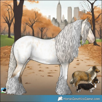 Horse Color:Gray Silver Amber Cream Champagne Roan Dun Splash Tobiano Frame Appaloosa Rabicano 