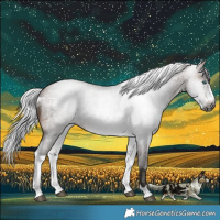 Horse Color:Gray Silver Buckskin Roan Merle Frame Rabicano 