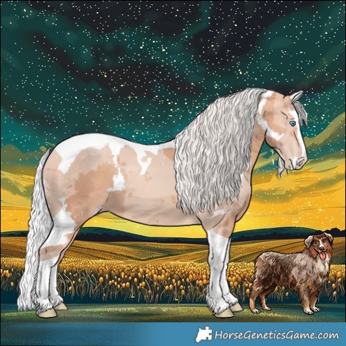 Horse Color:Silver Amber Champagne Merle Splash Tobiano 