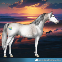 Horse Color:Gray Classic Champagne Roan Splash