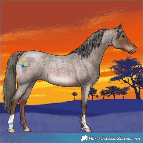 Horse Color:Liver Red Roan Mushroom 
