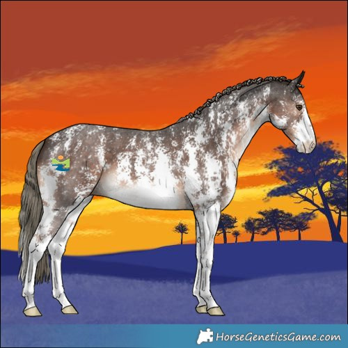 Horse Color:Liver Chestnut Mushroom Sabino 