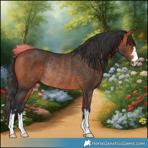 Horse Color:Bay Rabicano 