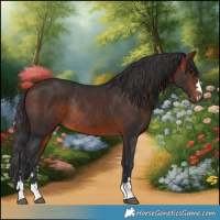 Horse Color:Bay Rabicano 