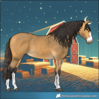 Horse Color:Buckskin Rabicano 