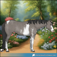 Horse Color:Grullo Sabino Tobiano Rabicano
