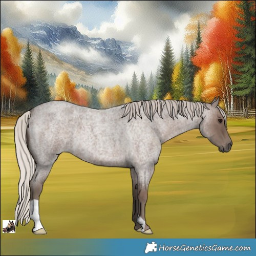 Horse Color:Silver Blue Roan 