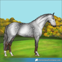 Horse Color:Gray Liver Chestnut