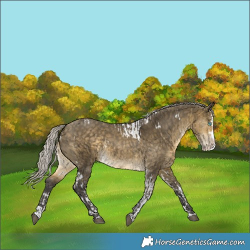 Horse Color:Silver Buckskin Dun Splash Tobiano  and White Spotted Silver Buckskin Dun Splash 