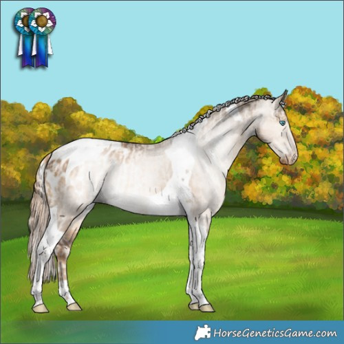 Horse Color:Silver Smoky Creme Dun Tobiano Appaloosa  and Gray Chocolate Palomino Dun Tobiano Appaloosa 