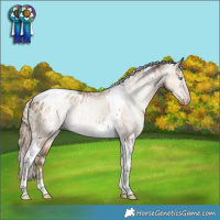 Horse Color:Silver Smoky Creme Dun Tobiano Varnish  and Gray Chocolate Palomino Dun Tobiano Blanket 